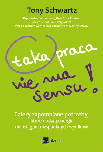 Okładka: Taka praca nie ma sensu!