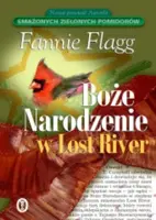 Okładka: Boże narodzenie w Lost River