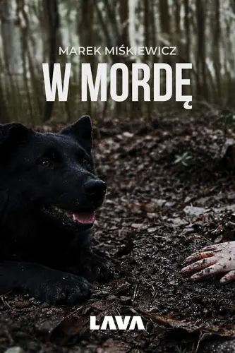 Okładka: W mordę