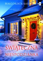 Okładka: Świąteczna niespodzianka