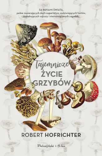 Okładka: Tajemnicze życie grzybów