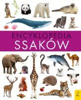 Okładka: Encyklopedia ssaków