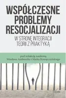 Okładka: Współczesne problemy resocjalizacji