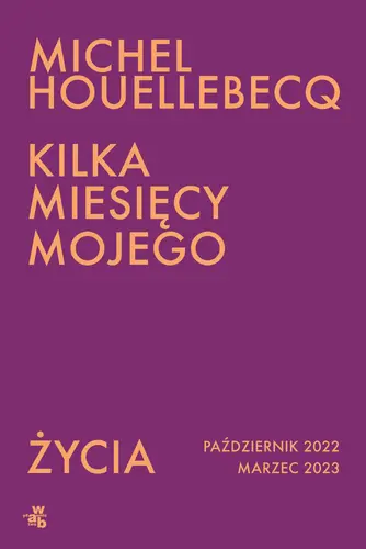 Okładka: Kilka miesięcy mojego życia