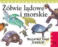 Okładka: Żółwie lądowe i morskie. Niezwykły świat zwierząt