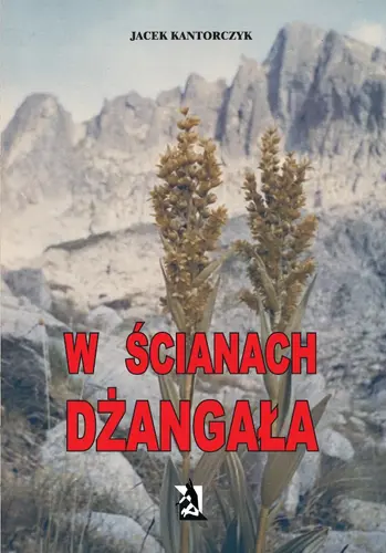 Okładka: W ścianach Dżangała