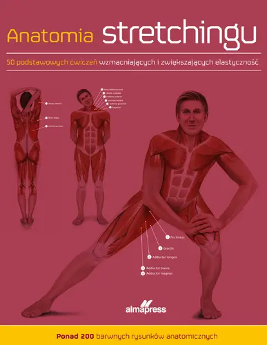 Okładka: Anatomia stretchingu