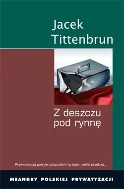Okładka: Z deszczu pod rynnę. Meandry polskiej prywatyzacji. Tom 4