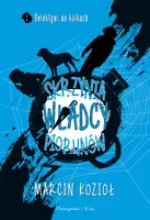 Okładka: Skrzynia Władcy Piorunów