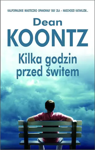 Okładka: Kilka godzin przed świtem