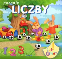 Okładka: Poznaję liczby
