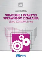 Okładka: Strategie i praktyki sprawnego działania