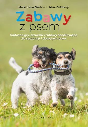 Okładka: Zabawy z psem
