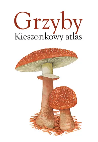 Okładka: Drzewa. Kieszonkowy atlas
