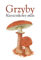Okładka: Drzewa. Kieszonkowy atlas