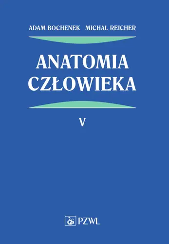 Okładka: Anatomia człowieka. Tom 5