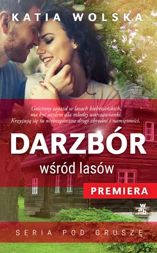 Okładka: Darzbór wśród lasów