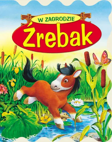 Okładka: Źrebak