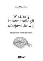 Okładka: W stronę fenomenologii niezjawiskowej. Fragmenty pewnej historii