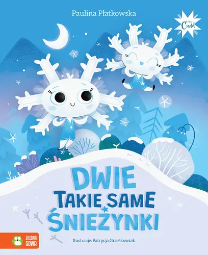 Okładka: Dwie takie same śnieżynki