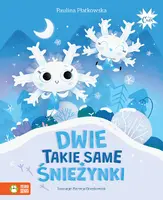 Okładka: Dwie takie same śnieżynki