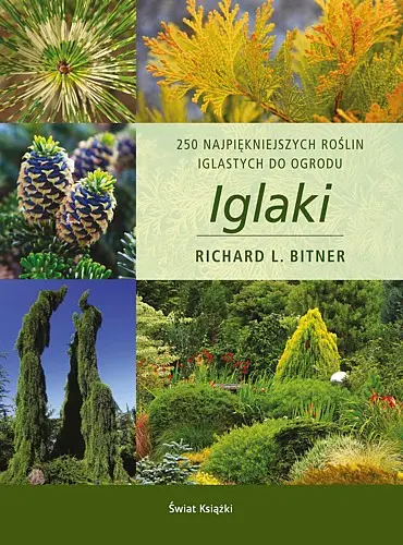 Okładka: Iglaki