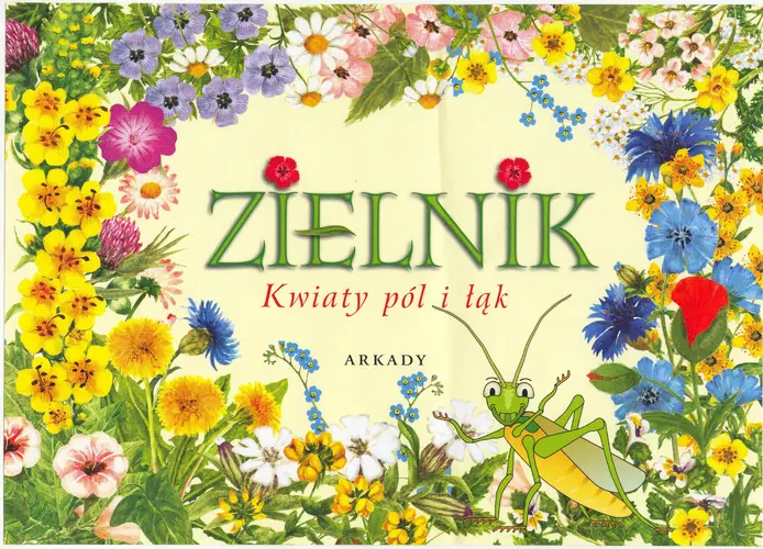 Okładka: Zielnik. Kwiaty pól i łąk