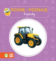 Okładka: Rosnę i poznaję. Pojazdy