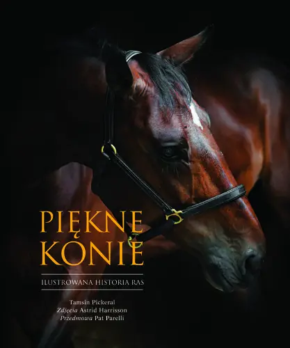 Okładka: Piękne konie