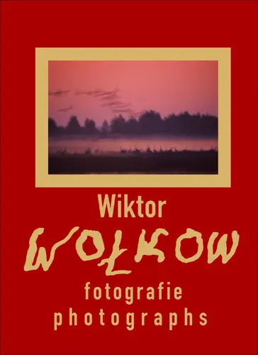 Okładka: Wołkow