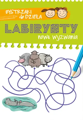 Okładka: Bystrzaki do dzieła. Labirynty. Nowe wyzwania