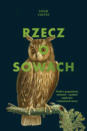 Okładka: Rzecz o sowach