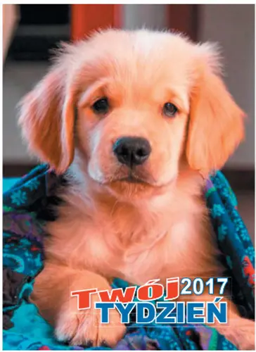 Okładka: Twój tydzień 2017 w formacie B7