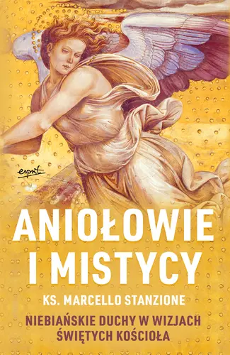 Okładka: Aniołowie i mistycy