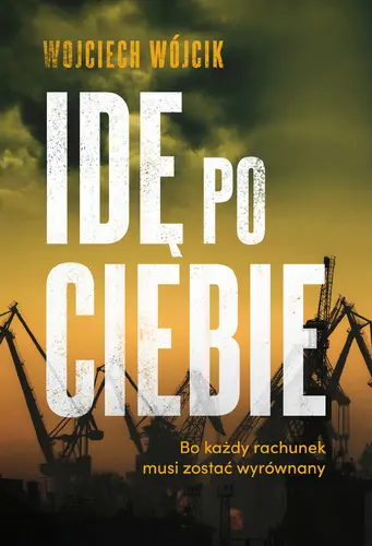 Okładka: Idę po ciebie