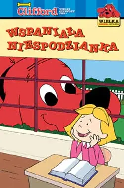 Okładka: Wspaniała niespodzianka