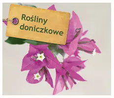Okładka: Rośliny doniczkowe