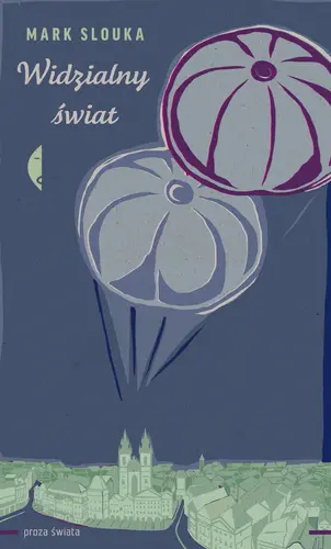 Okładka: Widzialny świat