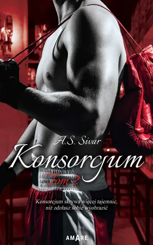 Okładka: Konsorcjum. Tom II