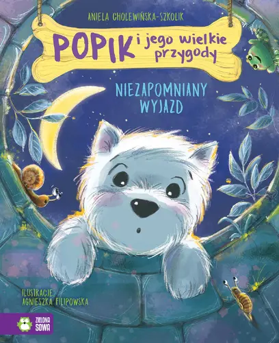 Okładka: Popik i jego wielkie przygody. Niezapomniany wyjazd