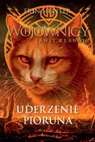 Okładka: Uderzenie Pioruna