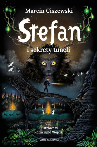 Okładka: Stefan i sekrety tuneli