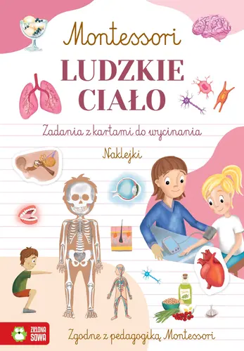 Okładka: Montessori. Ludzkie ciało