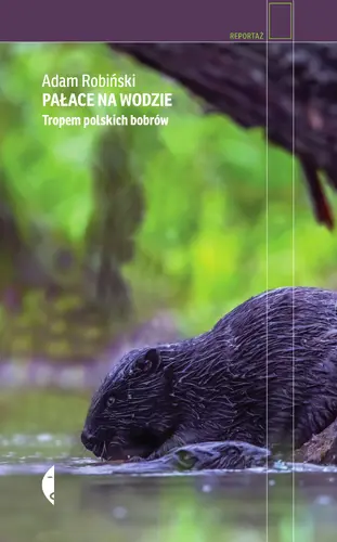 Okładka: Pałace na wodzie