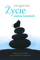 Okładka: Życie, piękna katastrofa