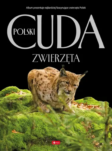 Okładka: Cuda Polski. Zwierzęta