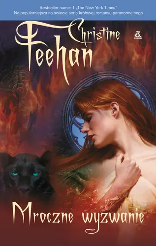 Okładka: Mroczne wyzwanie