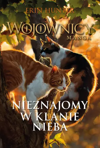 Okładka: Nieznajomy w Klanie Nieba