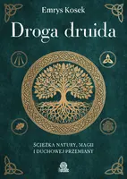 Okładka: Droga druida
