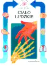 Okładka: Ciało ludzkie
